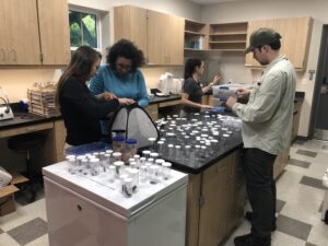 Lab area with people sorting plastic specimen containers on slate counters.