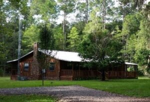 Log cabin on green lawn, in the woods