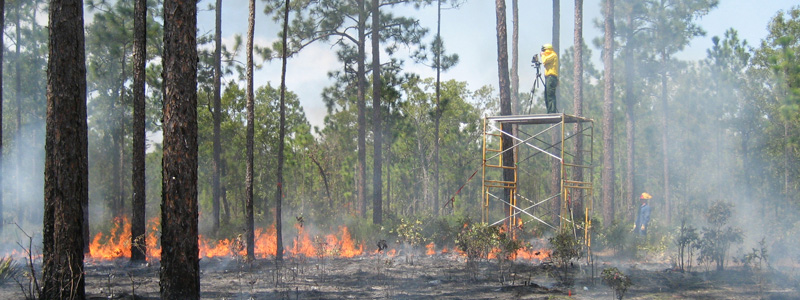 Person on platform observing controlled burn