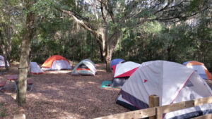 A group of tents in a dirt clearing, shaded by trees